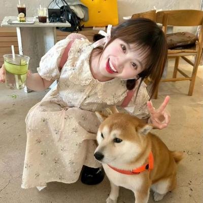 金牌贱猫:重新出击