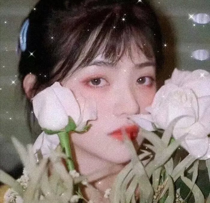 异界行商法则·动态漫